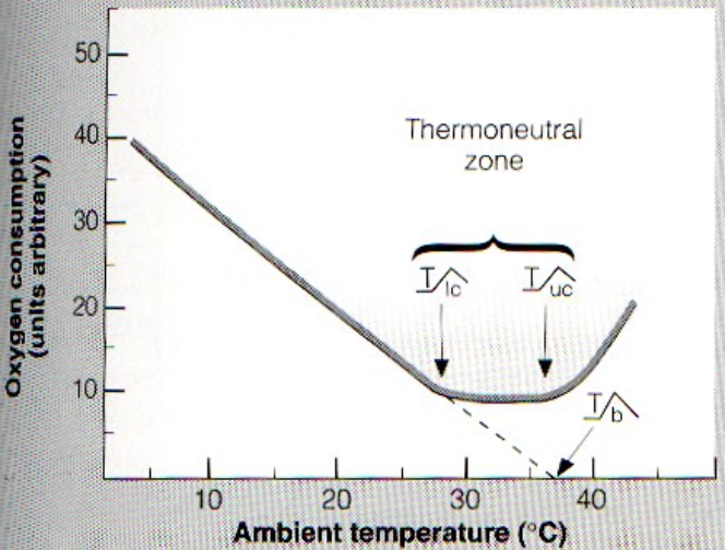 <p>what means range of temperature within which the metabolic rate is minimal and does not change as ambient temperature increases or decreases?</p>