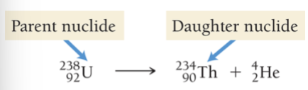 <p>Atomic numbers and mass numbers are conserved</p>