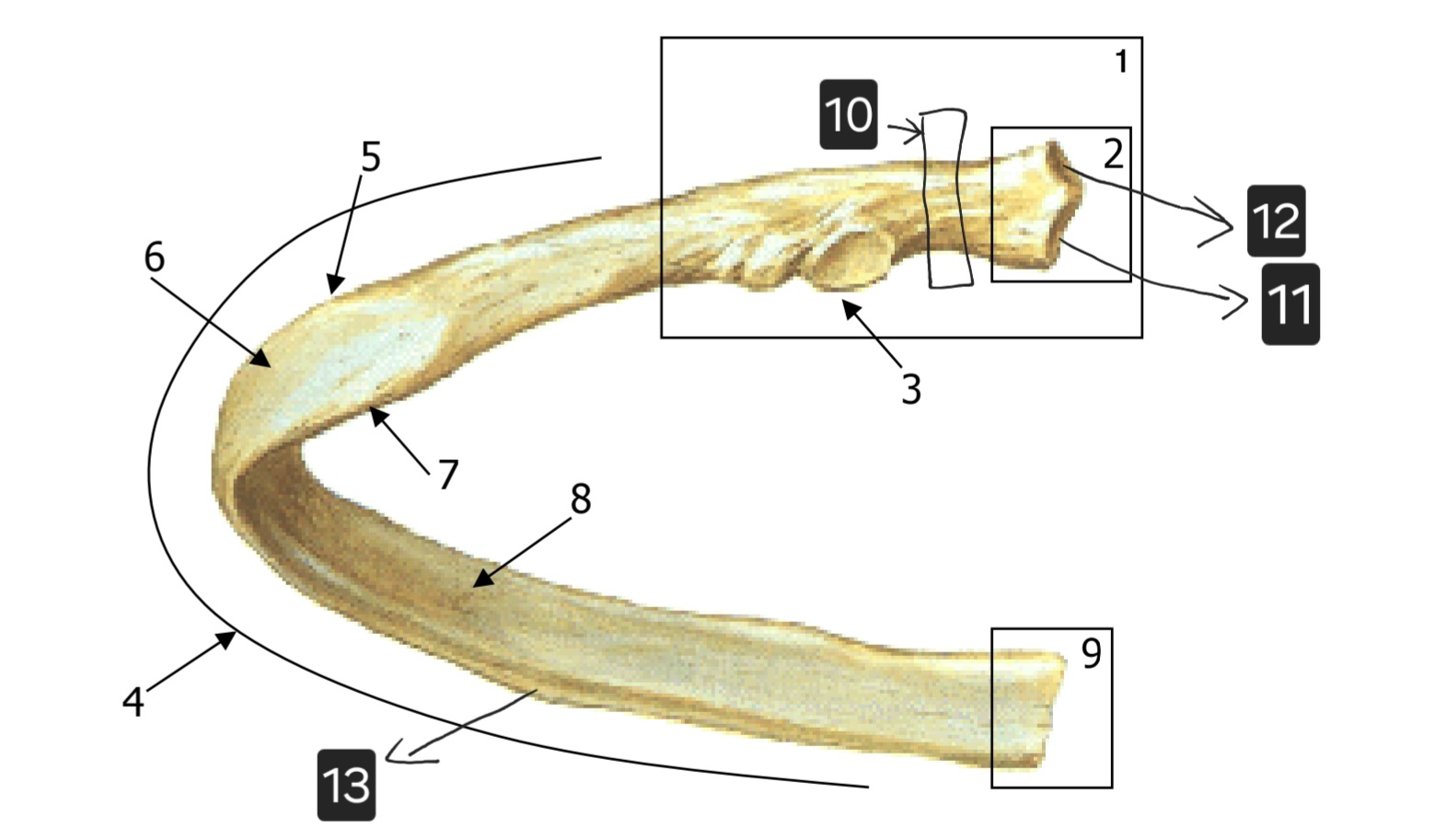 <p>9</p>