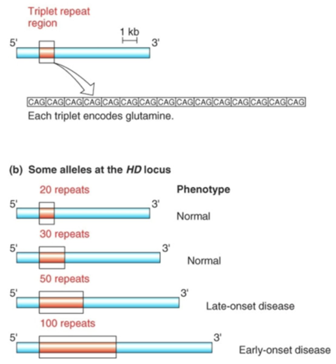 <p># of repeats = 5 -100</p>