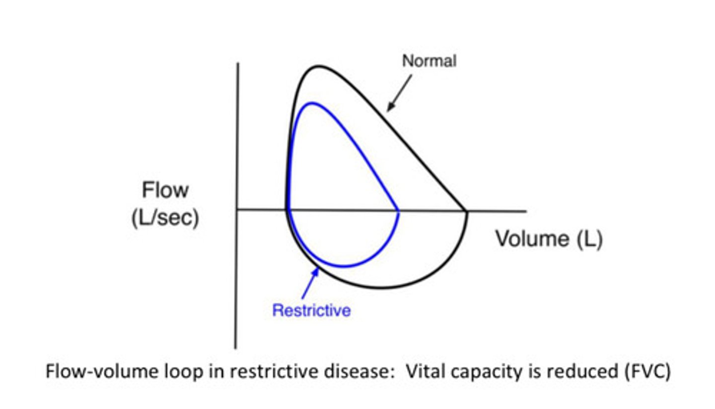 <p>FVC is reduced</p>