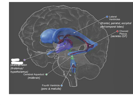 <p>what is this?</p>