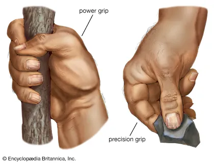 <p>What is a power grip?</p>