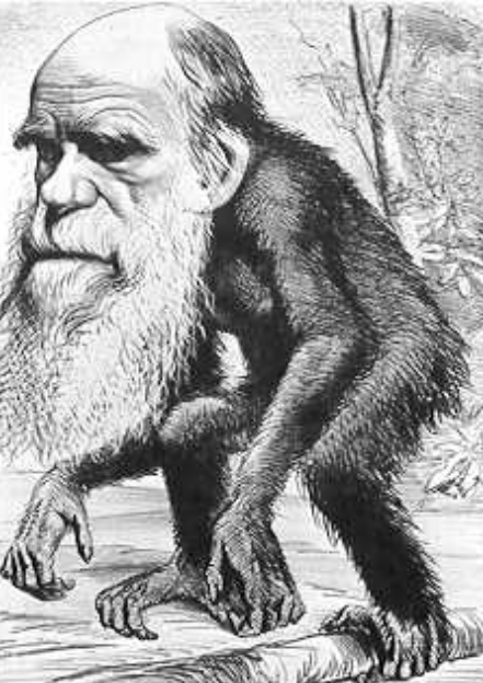 <p>Many did not like the idea that monkey’s were their ancestor.</p>