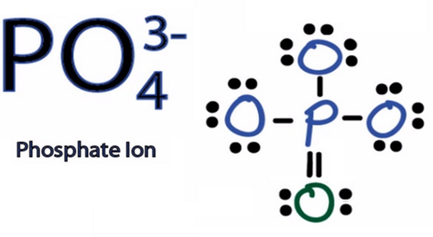 <p>PO₄³⁻</p>