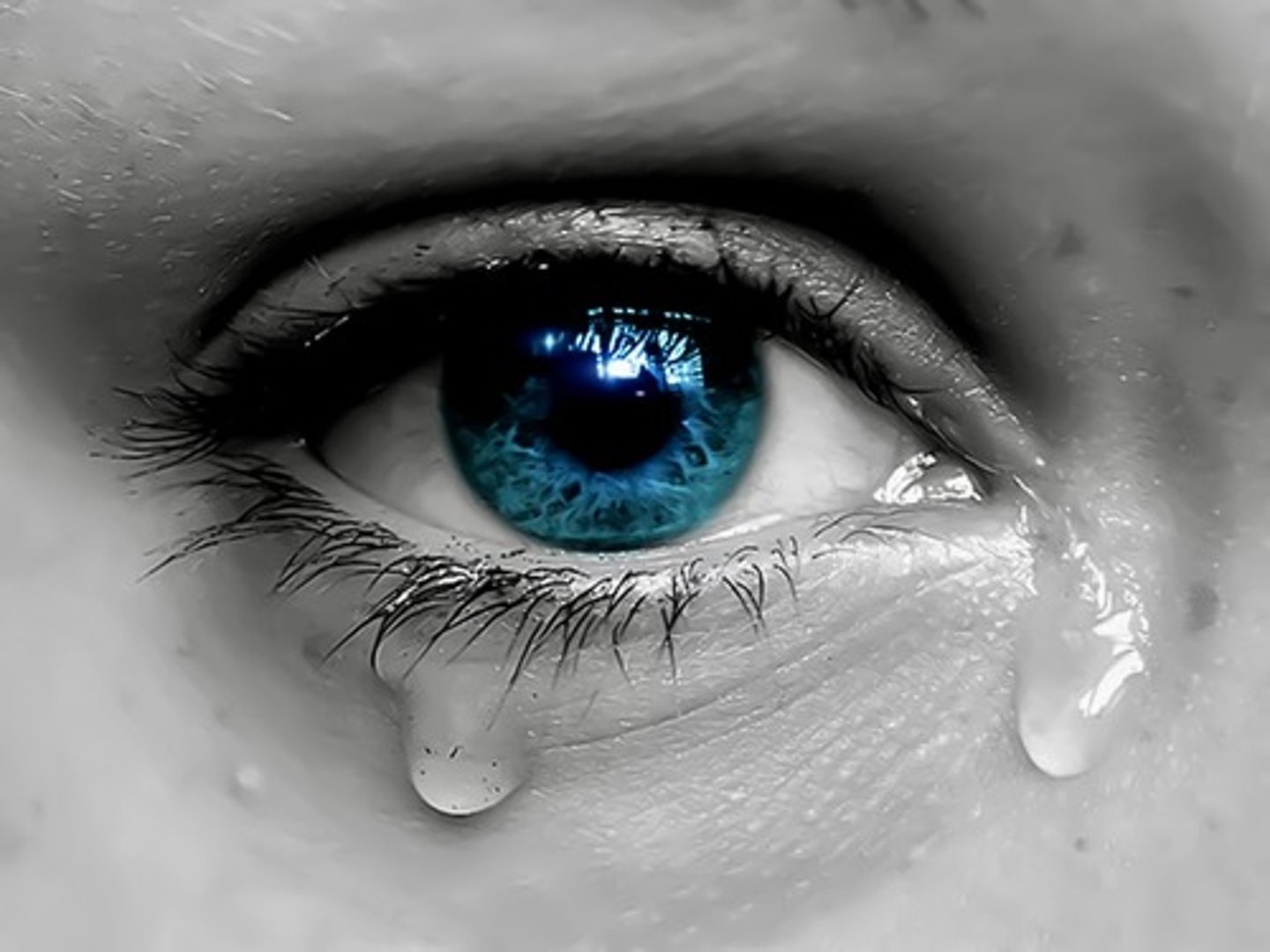 <p>tears</p>