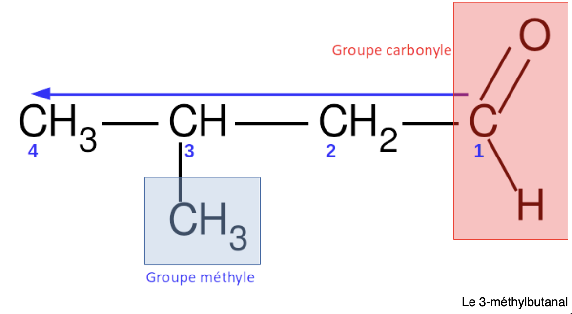 <p>Composé organique avec un groupe fonctionnel carbonyle (=O) au bout de chaîne </p>