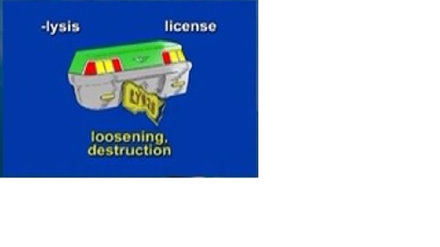 <p>loosening, destruction</p>