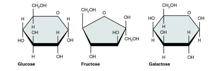 <p>Glucose, Fructose, Galactose</p>