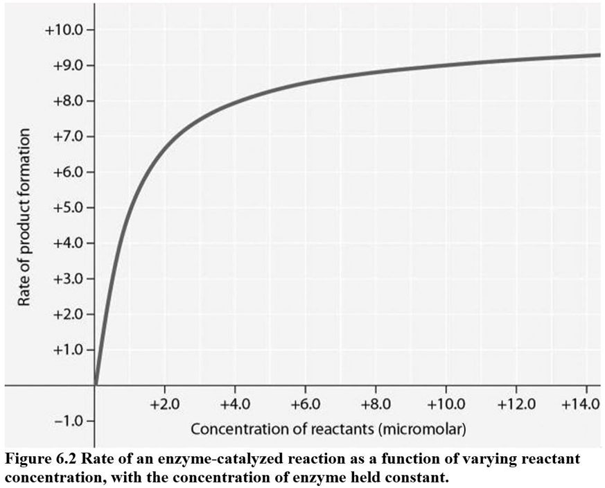 <p>In Figure 6.2, why does the reaction rate plateau at higher reactant concentrations?</p>