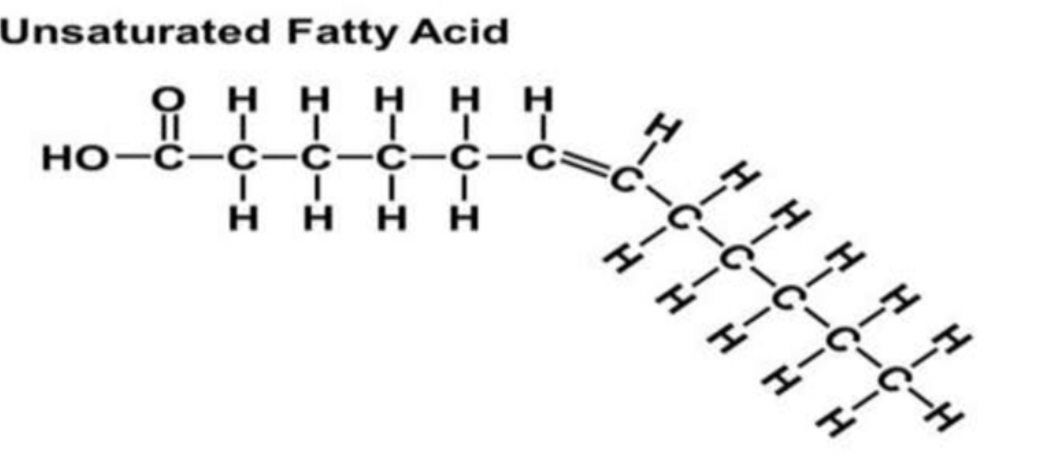 <ul><li><p>one or more <strong>double</strong> bonds between carbon to carbon</p></li><li><p>mainly liquid at room temps</p></li><li><p>not straight (eg, oil)</p></li></ul><p></p>