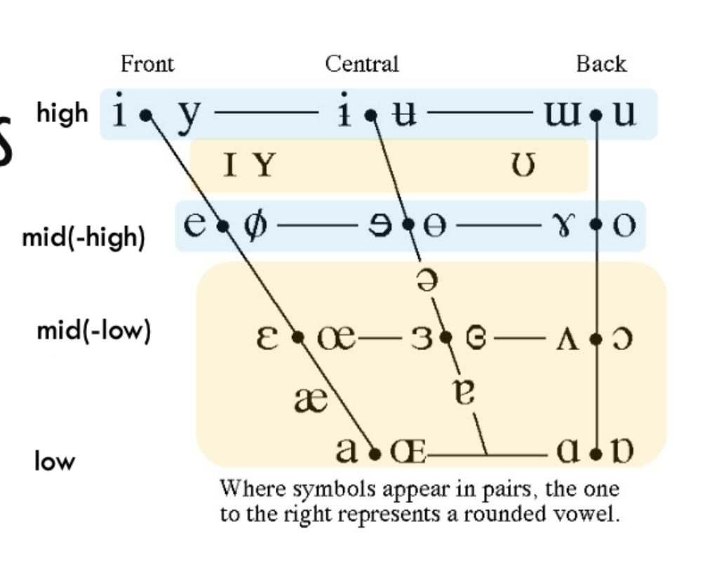 <p>Is what’s highlighted in yellow tense or lax?</p>
