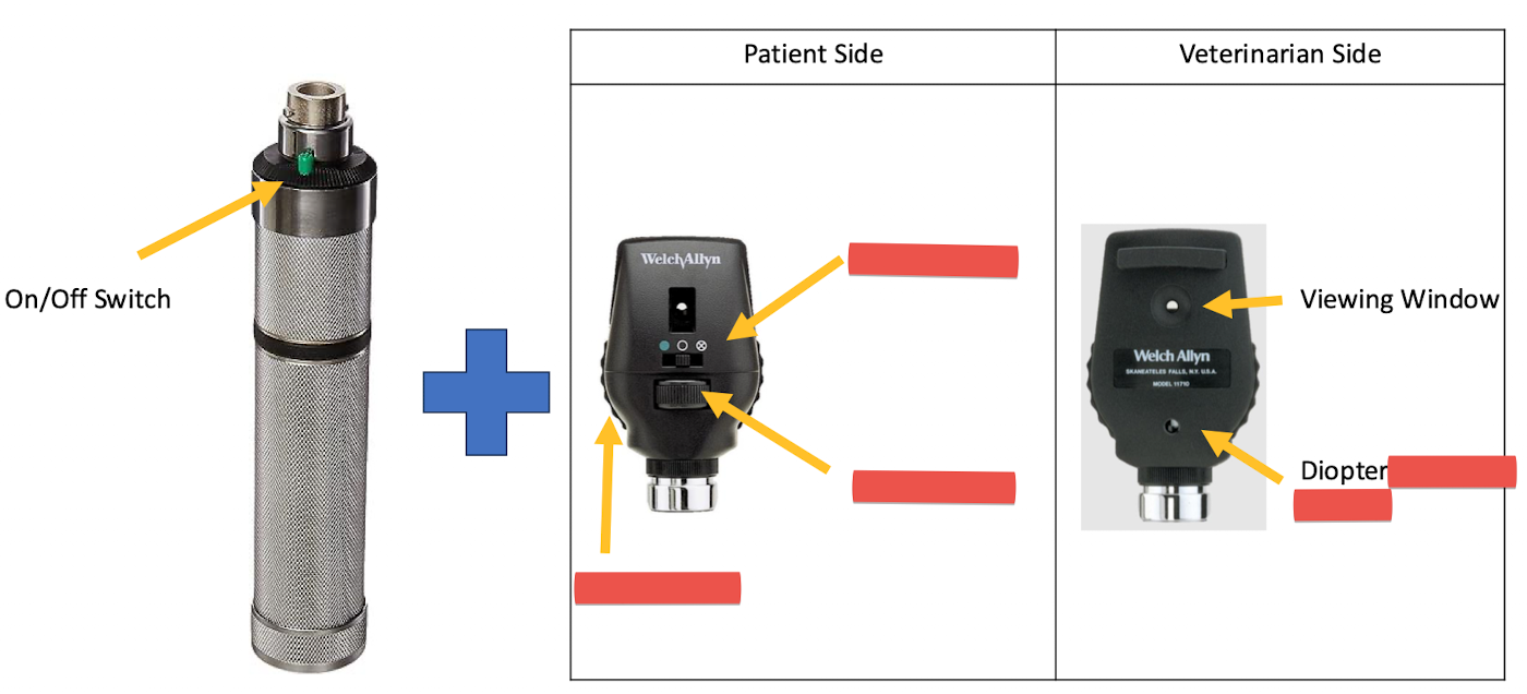 <p>Name the equipment and label</p>