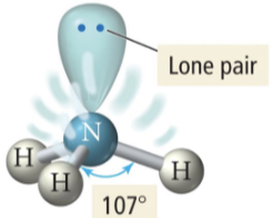 <p>trigonal pyramidal</p>