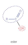 <ol><li><p>Remove ‘oic acid’ and replace with ‘oate’</p></li><li><p>First word is alkyl chain attached to O on COO</p></li></ol><p></p>