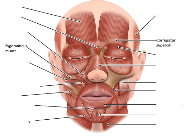 <ol start="7"><li><p></p></li></ol><p></p>