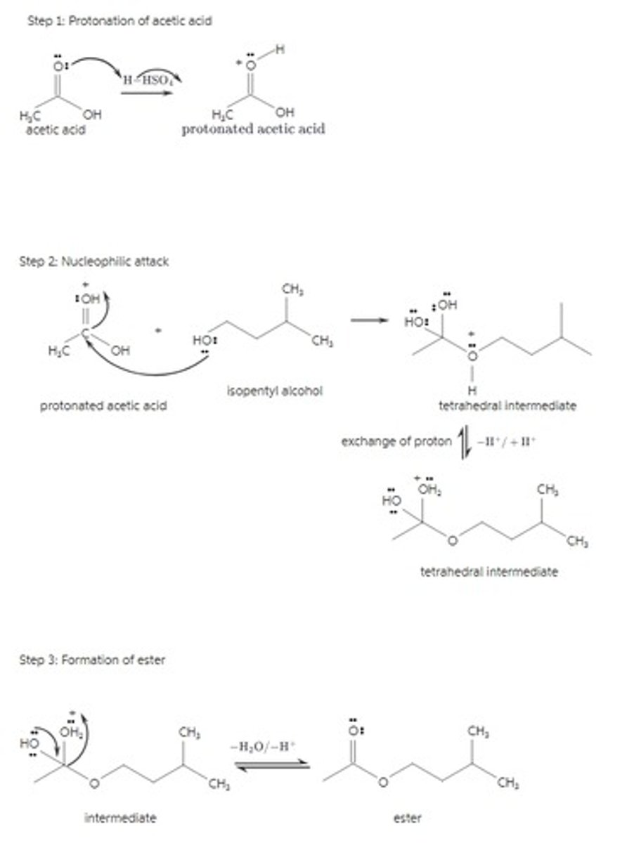 <p>(Sourced from Chegg)</p>