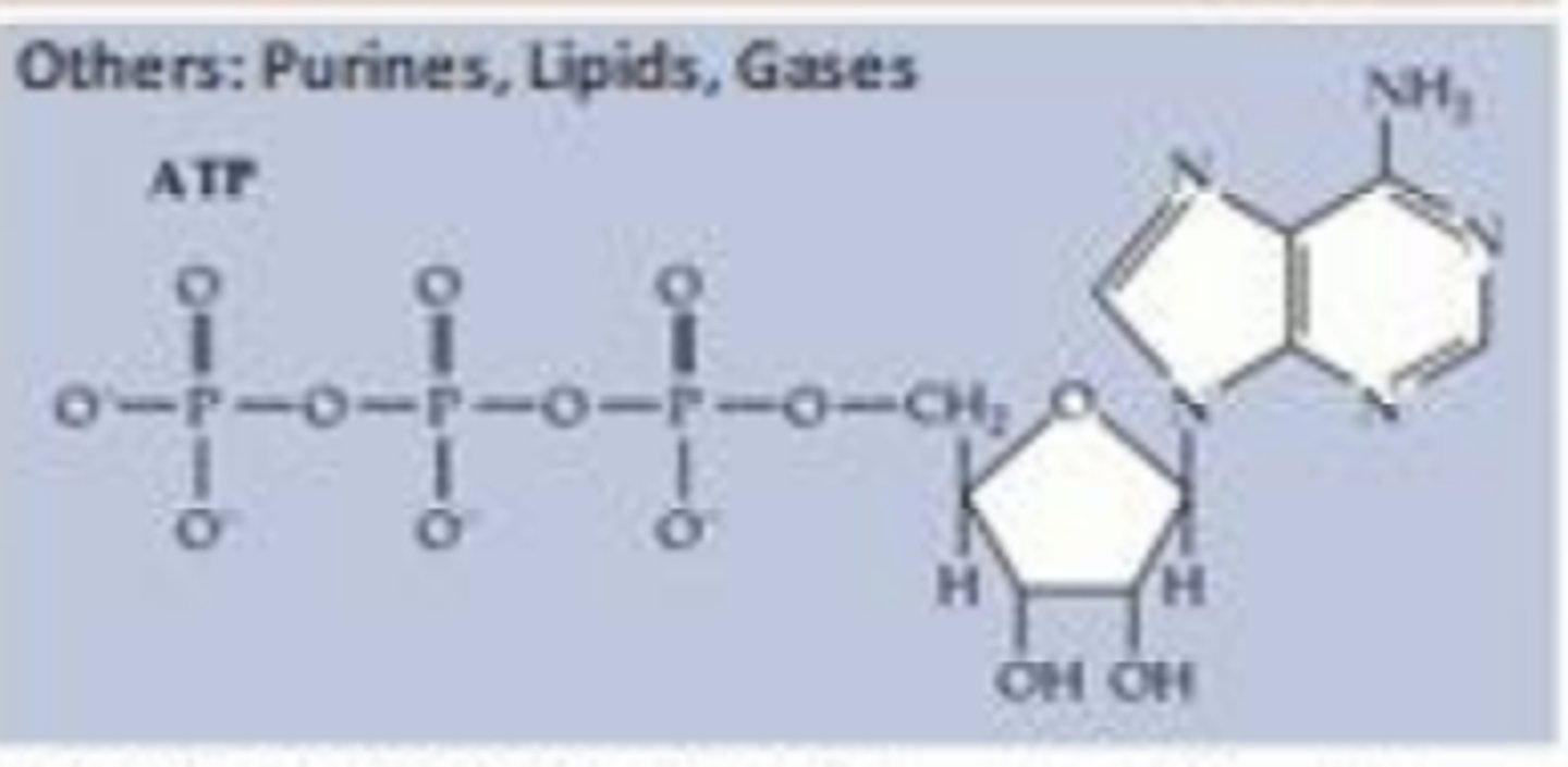 <p>Heterocyclic aromatic organic compound that consists of a pyrimidine ring fused to an imidazole ring</p>