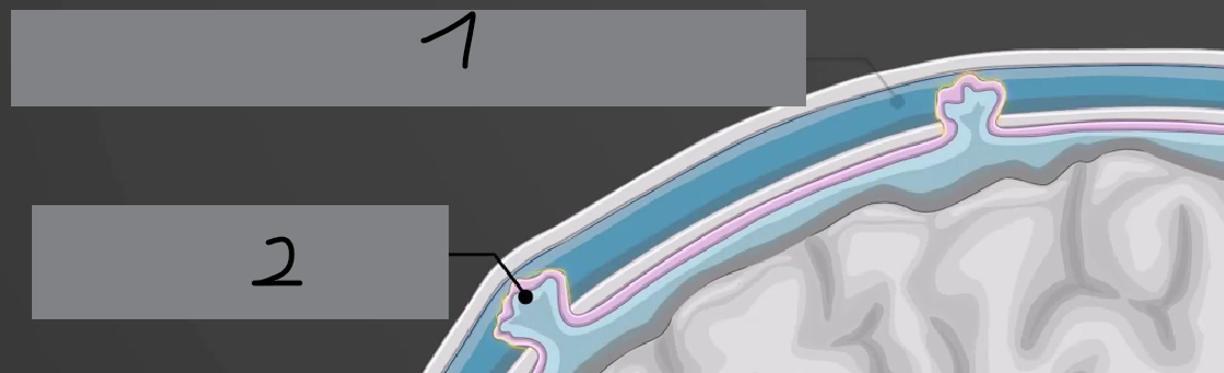 <p>2</p>