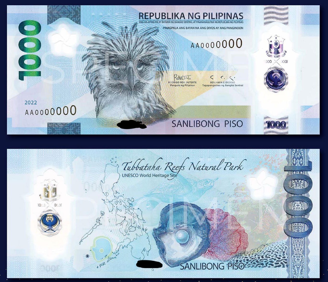 <p>What is the animal/s found in the ₱1000 polymer bank note?</p><p>A. Pithecophaga jefferyi & Pinctada maxima</p><p>B. Rusa alfredi & Tanygnathus lucionensis</p><p>C. Polyplectron napoleonis & Rhincodon typus</p><p>D. Prionailurus bengalensis rabori & Caranx ignobilis</p>