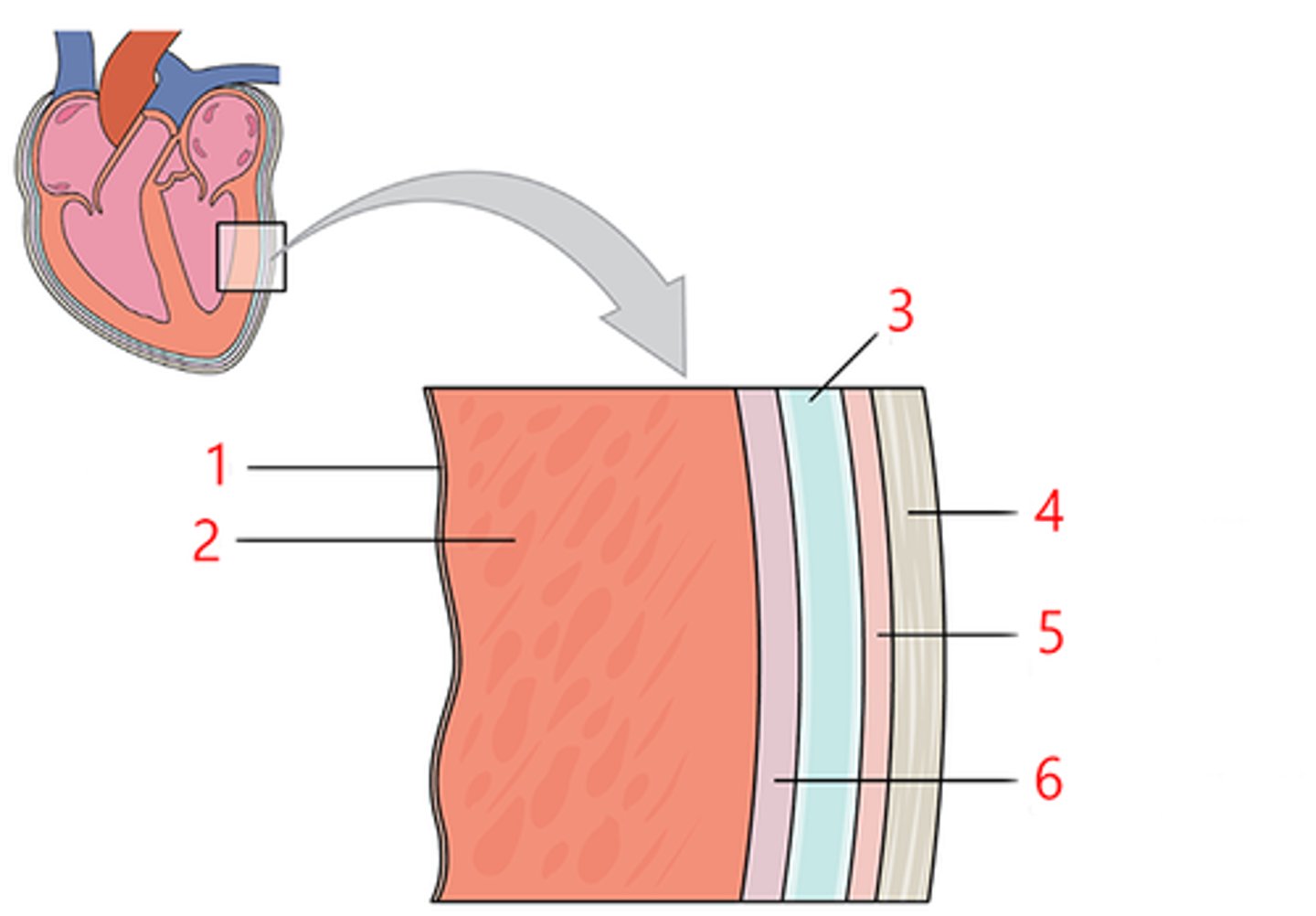 <p>(4)</p>