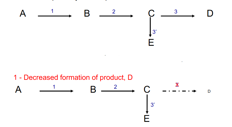 <p>- involve a missing or defective enzyme, causing block in metabolic pathway and often production of toxic metabolites</p><p>.</p><p>- metabolic imbalance secondary to enzyme deficiency. Three distinct sequelae of a lack of enzyme 3</p><p>1. decreased formation of product, D</p><p>DIAGRAM ON SLIDE 7</p>