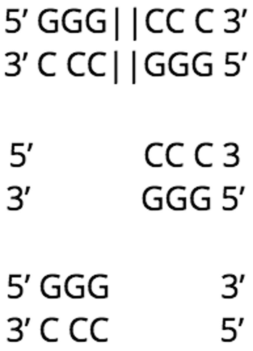 <p>blunt ends</p><p>(blunt ends are harder to hybridize because of the paired nucleotides)</p>