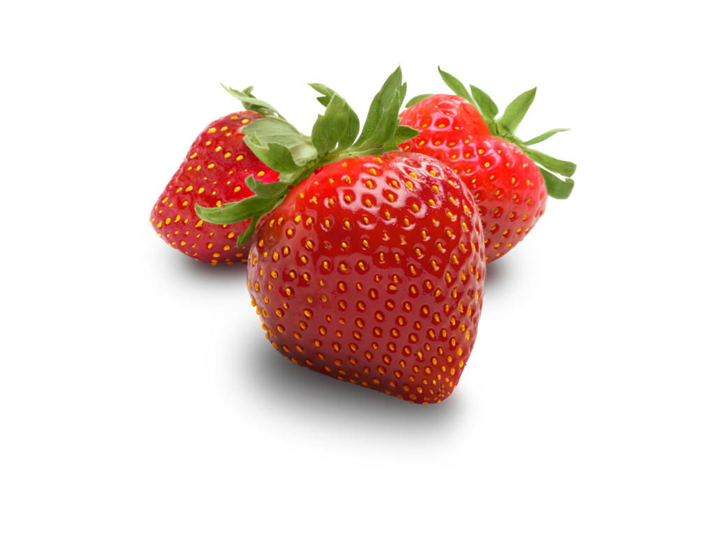 <p>fresa</p>