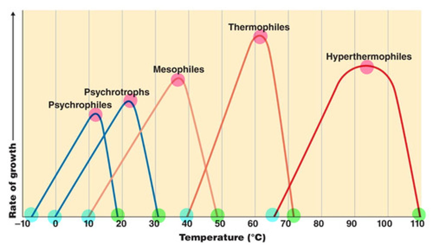 <p>describe this growth curve; name what each colored section is representing</p>