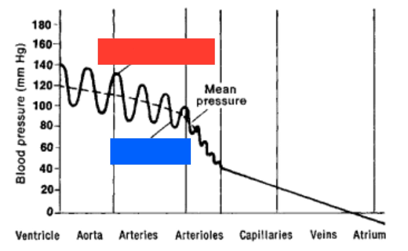 <p>Is red systolic or diastolic pressure?</p>