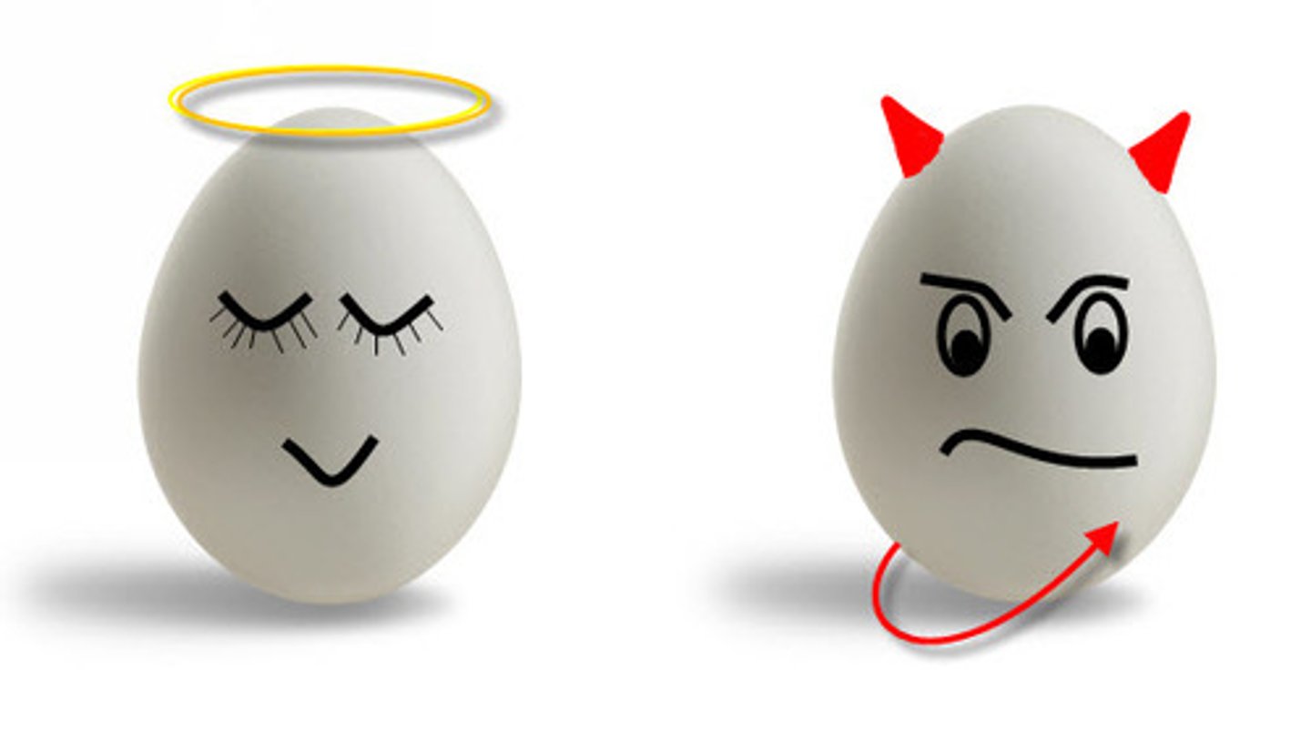 <p>The Halo Effect occurs when you have an overall good impression of someone and it skews your evaluation of them toward the positive end of the spectrum.</p><p>The Devil Effect occurs when you have an overall bad impression of someone and it skews your evaluation of them toward the negative end of the spectrum.</p>