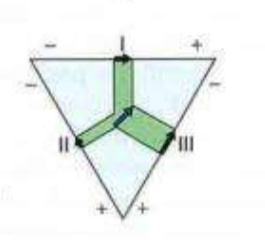 <p>This net dipole belongs to which of the following?</p><p>a. Q wave</p><p>b. S wave</p><p>c. ST segment</p><p>d. R wave</p>