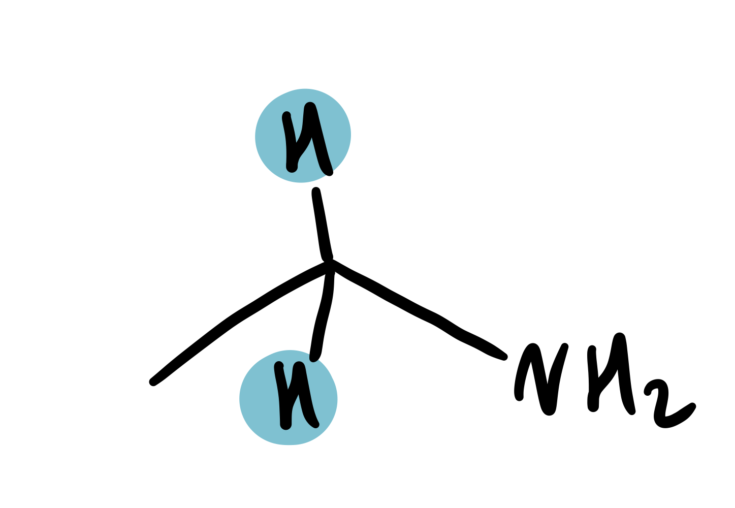 <p>amine-adjacent (H-C-N)</p>