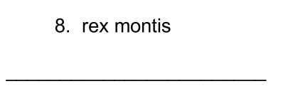 term image