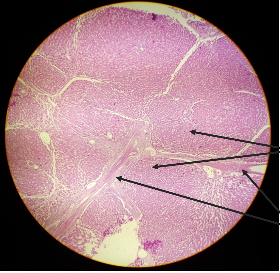 <p>what is this? </p>