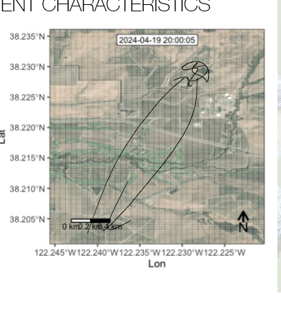 <ul><li><p>measurable features/patterns that describe how an organism moves through space/time, used to understand an animal’s behavior and habitat use</p></li><li><p>commuting: fast, straight/directed, few turn angles, long step length</p></li><li><p>hunting: slow, zigzag, lots of turn angles, short step length, localized area use</p></li></ul><p></p>