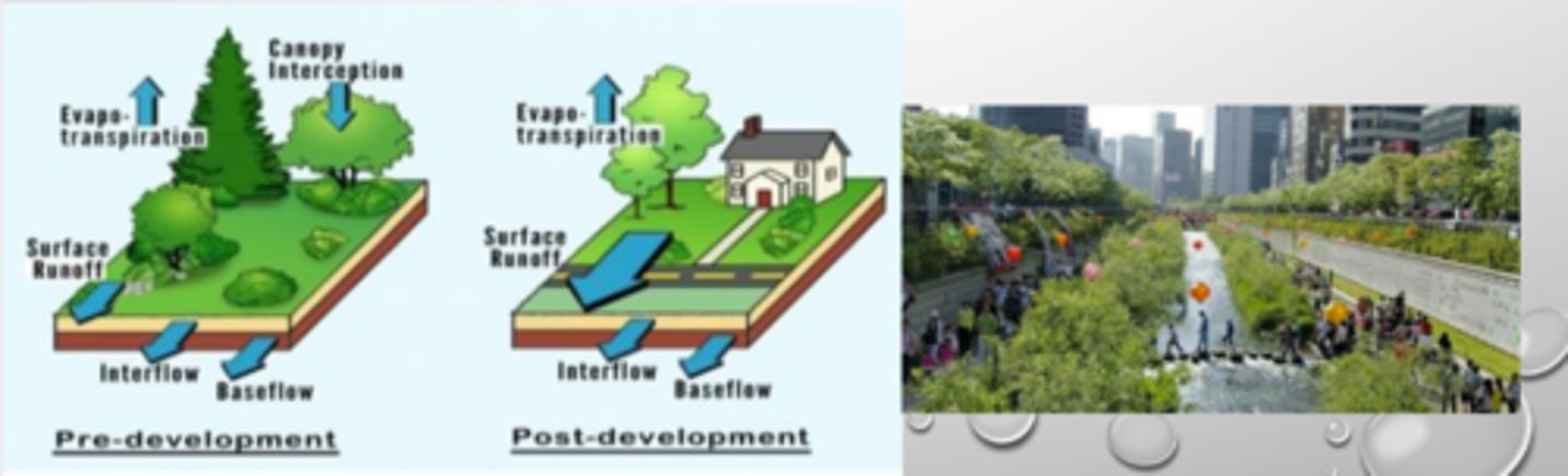 <p>watershed classification, natural water flow pattern greatly altered, high runoff, vulnerable to flooding, fixed land use (precipitation changes all that matter(</p>