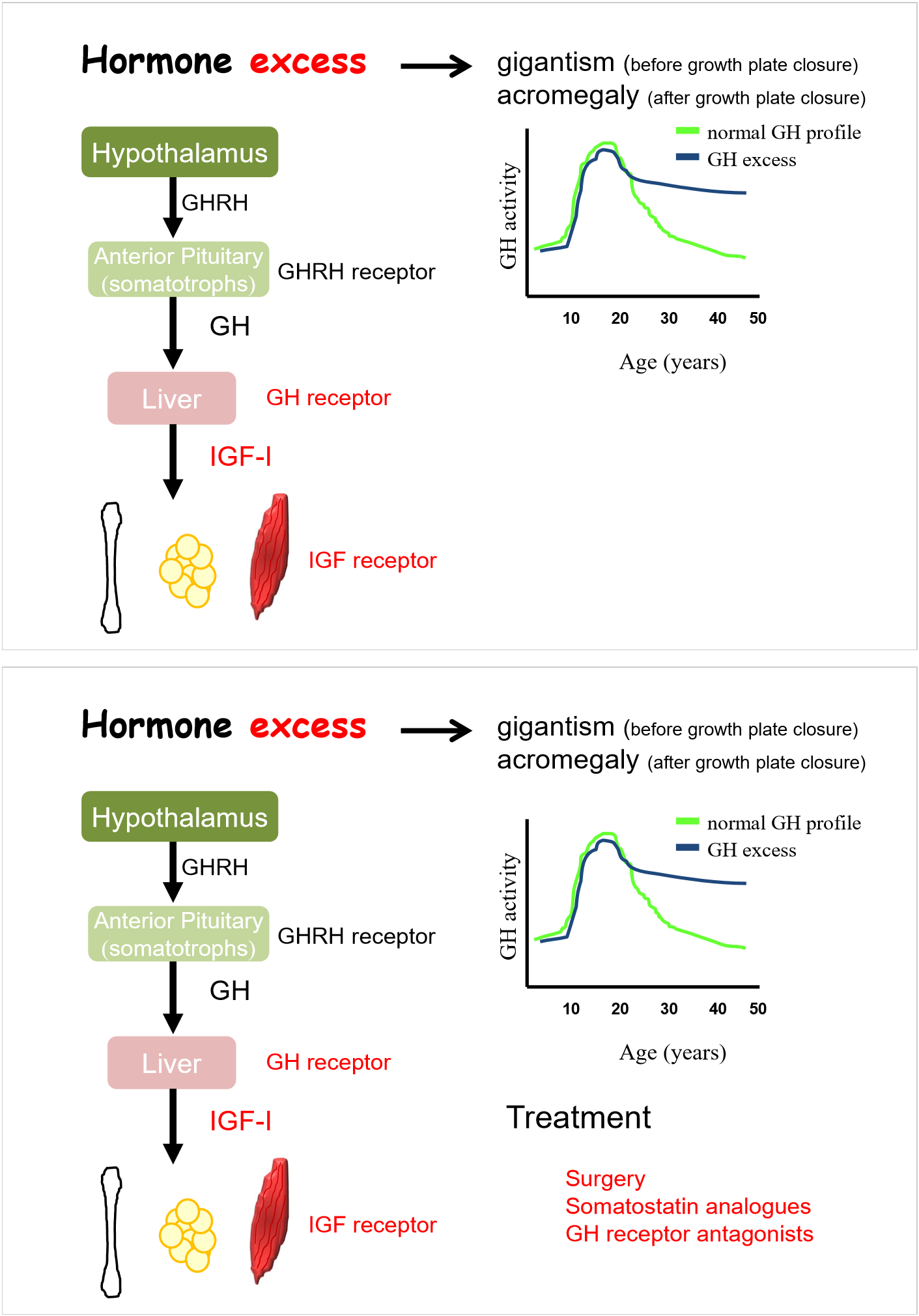 <p>depends on point in individual’s life</p><p>tumour in anterior pituitary</p><p>acromegaly has no increase in height, thicker bones </p><p>surgery to remove tumour</p>