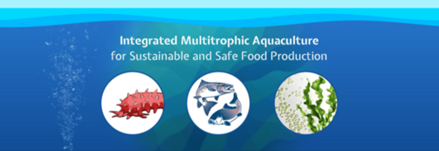 <p>used for sustainable and safe food production, seaweeds provide biomitigative services and produce valuable product</p><p>describes three trophic levels that should be combined with "fed" fish aquaculture</p>