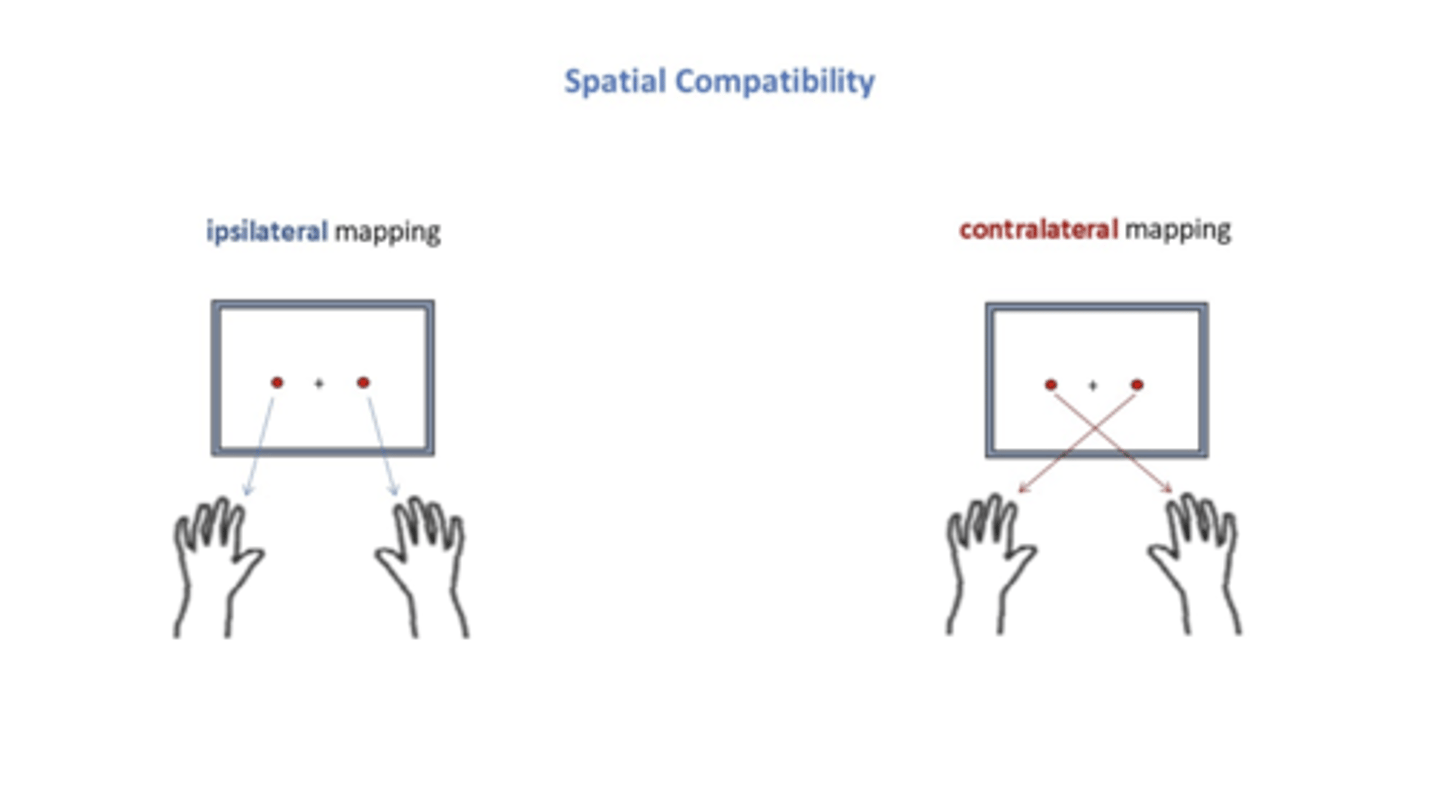 <p>ipsilateral mapping (same)</p><p>contralateral mapping (opposite)</p>