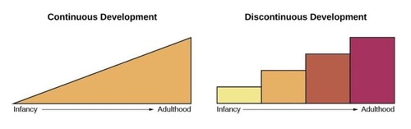 <p>Views development as a cumulative process, gradually improving on existing skills.</p>
