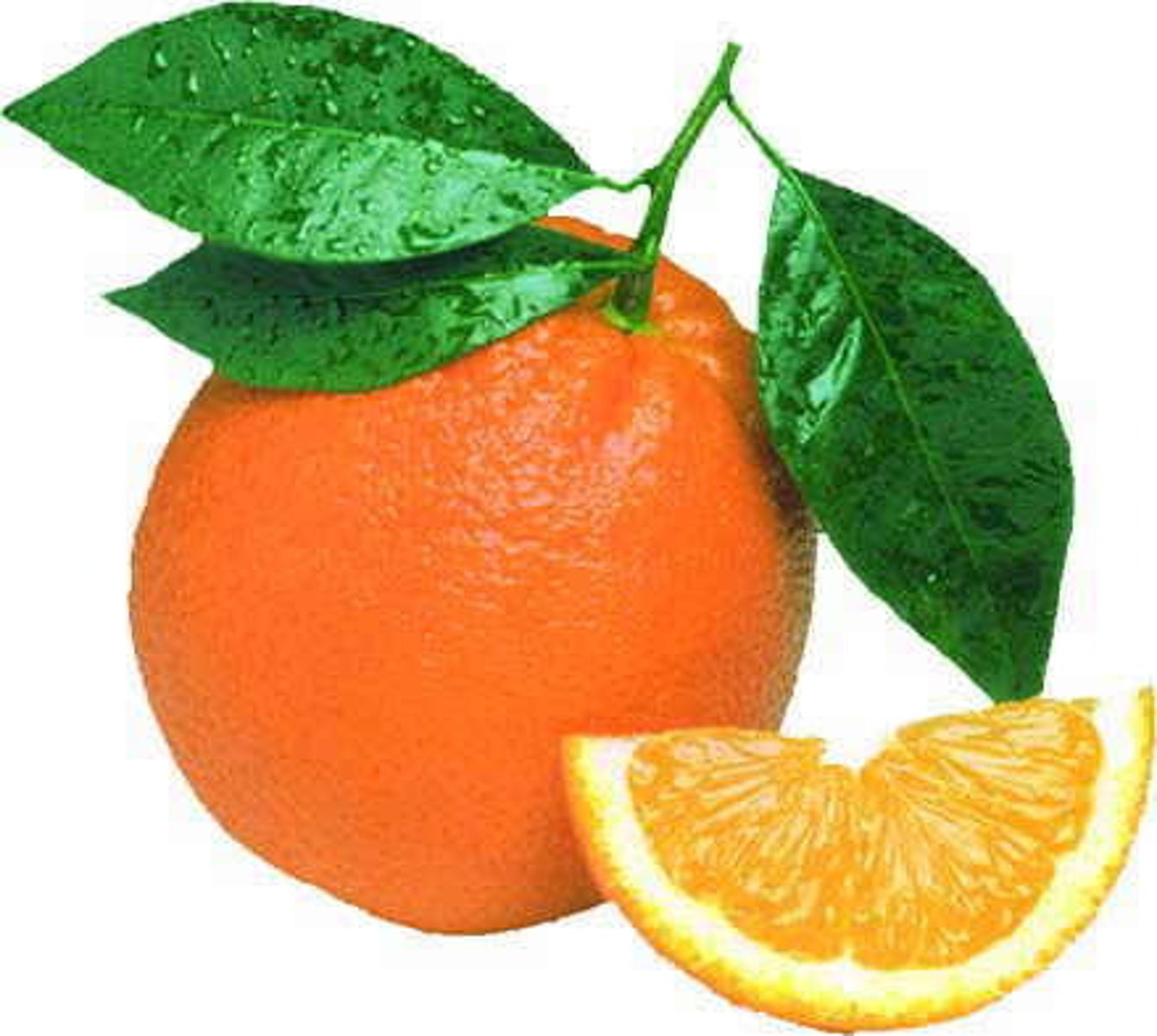 <p>orange</p>