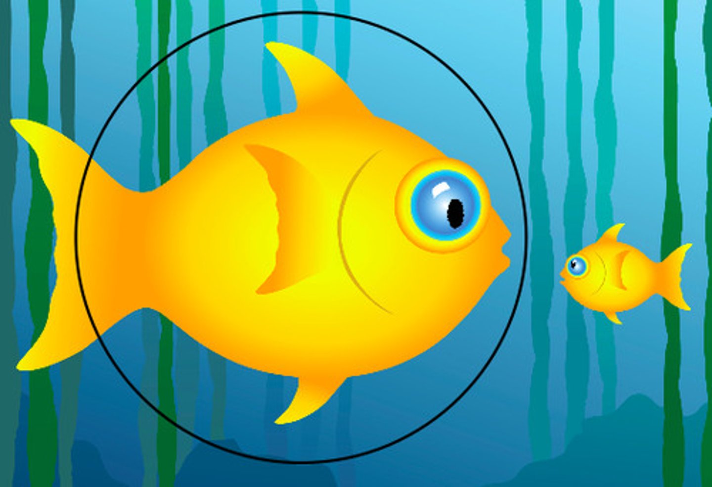 <p>Big - bigger - biggest</p>