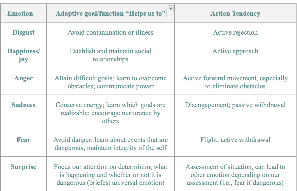 <p>Fredrickson (2000) posits that traditional models of emotion primarily focus on the adaptive functions of emotions as they relate to survival-oriented actions. Specifically, emotions such as fear are associated with behavioral urges like freezing, fleeing, or fighting, accompanied by physiological changes that prepare the individual for immediate threat response. This underscores the evolutionary basis of negative emotions as mechanisms promoting survival.</p><p>However, Fredrickson highlights that the adaptive functions of positive emotions have historically been less clearly articulated within this framework. He proposes that positive emotions serve distinct adaptive purposes that are more indirect and long-term in nature. For instance, experiences of joy may facilitate creativity, playfulness, and cognitive flexibility, while feelings of pride might promote communication with others and build hopeful expectations for the future, which are important for cooperation and goal pursuit.</p><p>Building upon this, Kaplan et al. (2016) emphasize that positive emotions broaden an individual’s attentional scope, allowing us to open up and focus on broader interests rather than just immediate threats or goals. This notion forms the foundation of<strong><u> Fredrickson’s broaden-and-build theory</u></strong>, which asserts that positive emotions broaden our momentary mindset (like expanding our thoughts and actions) and help build lasting personal resources—such as knowledge, relationships, and resilience—that we can use later when challenges arise.</p><p><strong>Emotions: Fear, Disgust, Sadness, Anger, Joy, Shame, Guilt (FDSAJS)</strong></p><p><strong>Example: i</strong>n a preschool setting, joy often leads to an <strong>active approach</strong> behavior, where children eagerly seek out playmates, initiate games, and explore new activities together. For instance, a child who feels joyful during group play may invite others to join in building a block tower or pretend cooking in the play kitchen. These joyful behaviors—smiling, laughing, and sharing—naturally draw other children in and signal a willingness to connect. As a result, joy fosters <strong>social engagement</strong>, helping children form friendships, practice cooperation, and build trust with peers. Over time, these repeated positive interactions help establish a foundation for <strong>stable and supportive relationships</strong>, which are essential for social and emotional development.</p>
