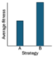 <p><span style="color: #000000">The graph shows average fitness (i.e. reproductive success) of two</span><span style="color: #000000"><br></span><span style="color: #000000">alternative male strategies. For A, males display to attract the attention of females. For B, males sneak copulations without displaying. Which of the</span><span style="color: #000000"><br></span><span style="color: #000000">following are likely true in this species?</span><span style="color: #000000"><br></span><span style="color: #000000">A. The strategies are genetically determined</span><span style="color: #000000"><br></span><span style="color: #000000">B. The strategies are developmentally determined</span><span style="color: #000000"><br></span><span style="color: #000000">C. Selection will lead to the fixation of strategy A</span><span style="color: #000000"><br></span><span style="color: #000000">D. Selection will lead to the fixation of strategy B</span><span style="color: #000000"><br></span><span style="color: #000000">E. B&amp;D</span></p>