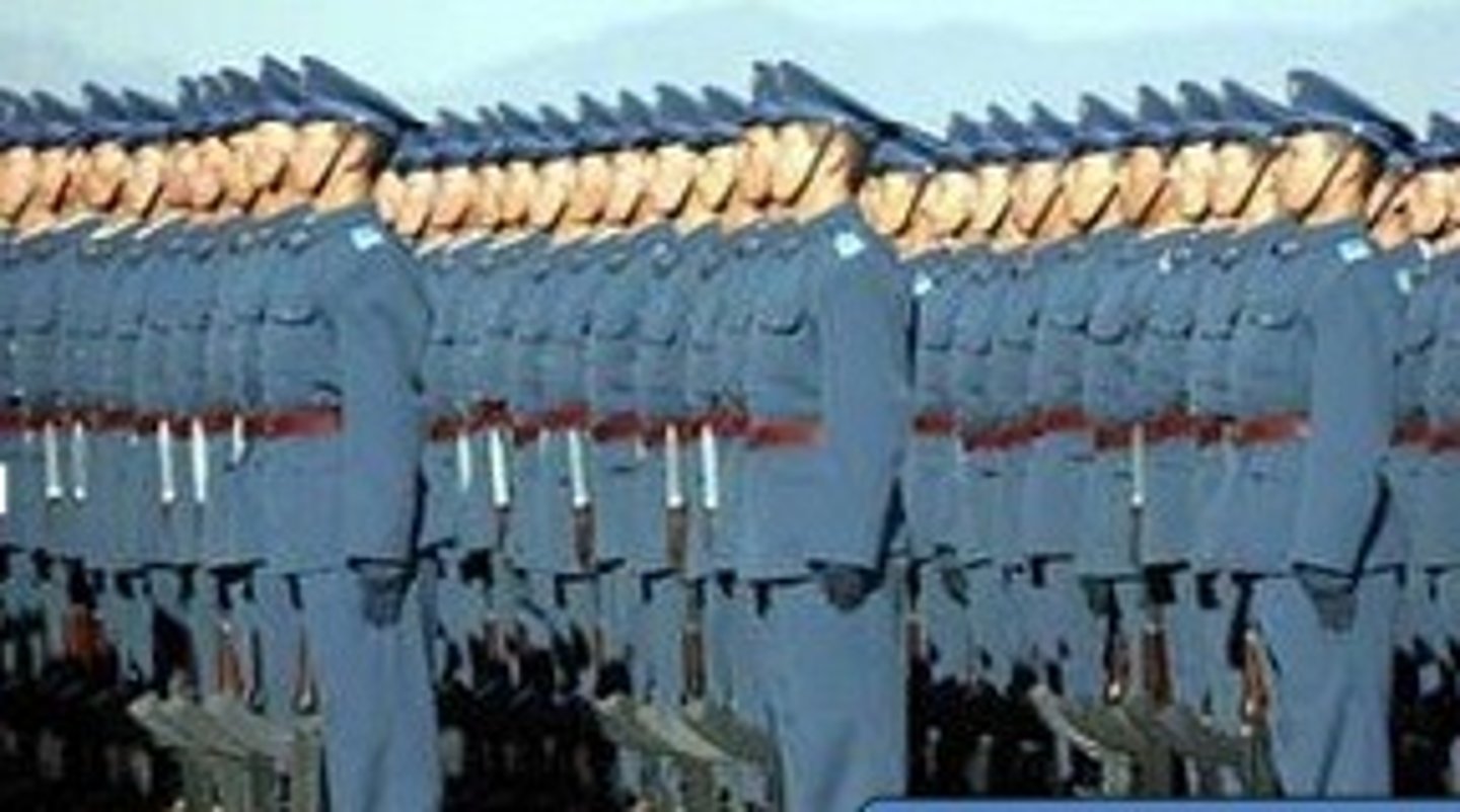 <p>This was Mao's army of peasants that was trained in guerilla warfare.</p>