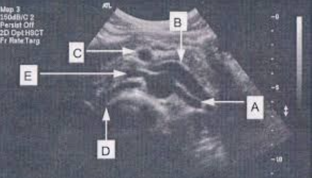 <p>Identify structures:</p>