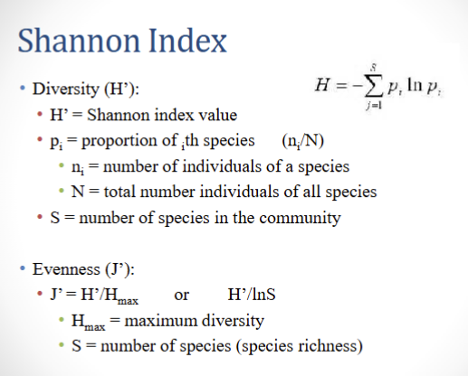 <p>Focuses on richness</p>