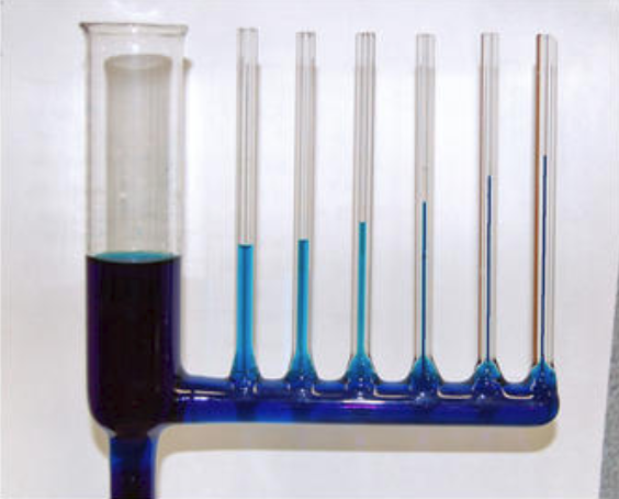 <p><span style="font-family: "Open Sans", sans-serif;"><strong><span>Capillary action</span></strong><span> is the ability of a liquid to flow in narrow spaces, such as small tubes called capillaries (e.g. xylem), due to the combined effects of adhesion and cohesion.</span></span></p>