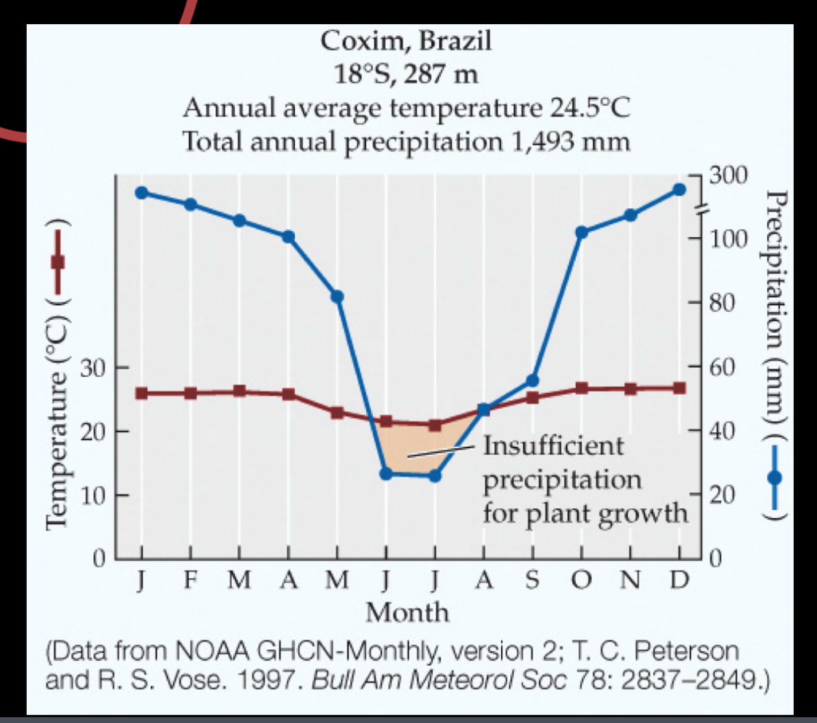 <p>Hot and rainy yearly less rain during summer</p>